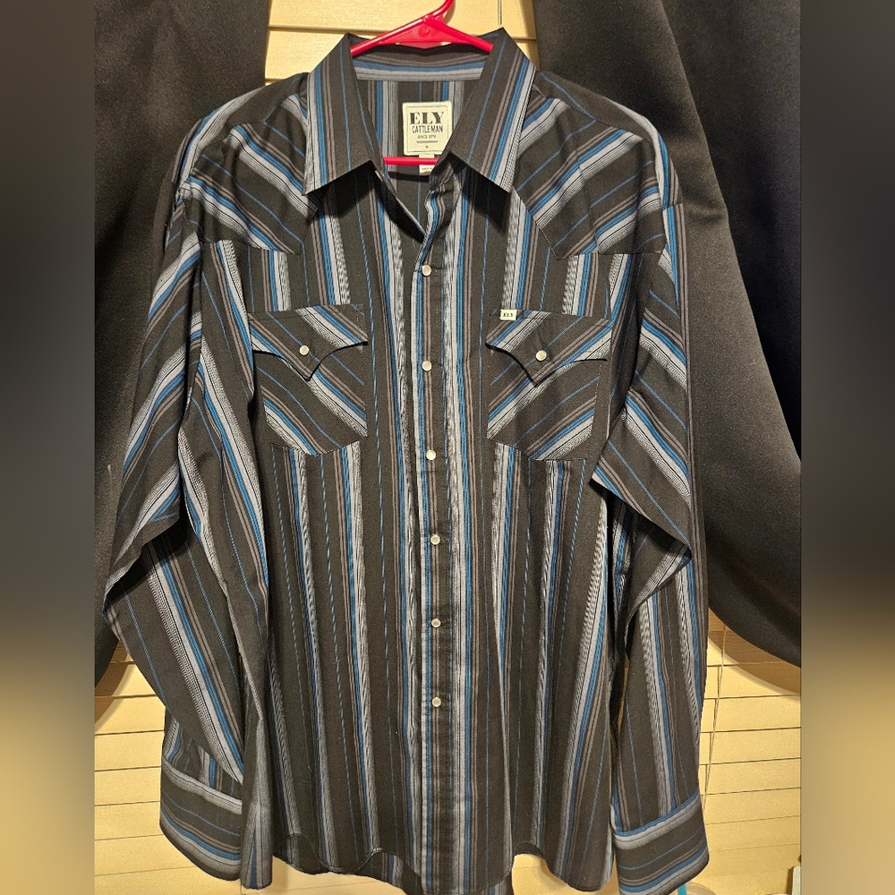 Mens Ely Cattleman Button Down Shirt